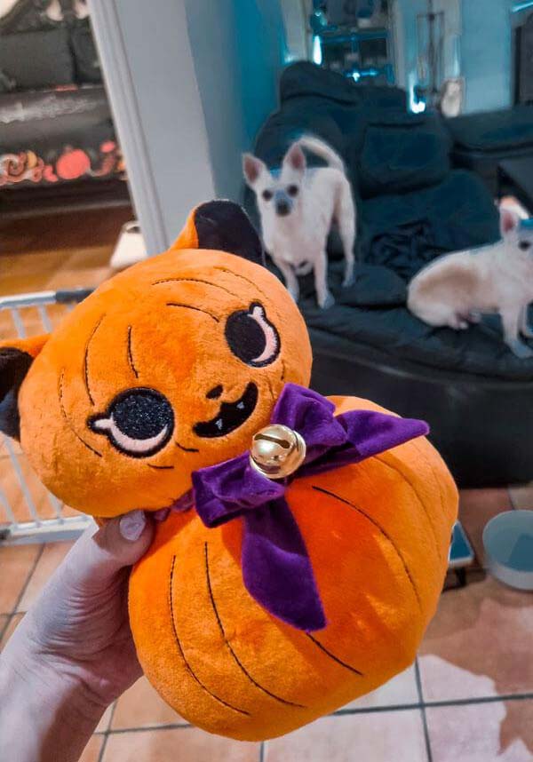 Beserk Clothing Jack-O-Kitty - View 8