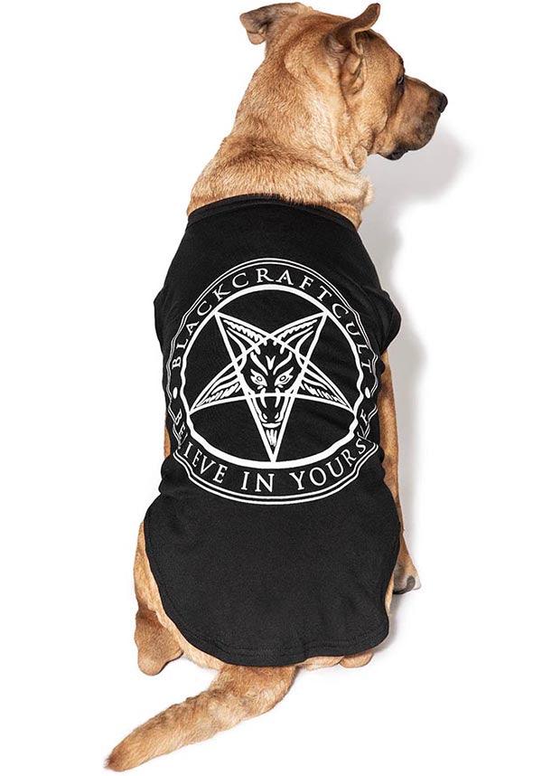 Believe In Yourself | PET TEE** - Beserk - all, all clothing, BCD378, black, blackcraft, boxingday22-20, clickfrenzy15-2023, clothing, discountapp, dog, dog vest, dogs, exclusive, finalsale, fur parents, goth, gothic, home, homeware, homewares, jun22, labelexclusive, mothersdaypet, mysterypack2023, pet, pet clothing, pets, r260622, sale