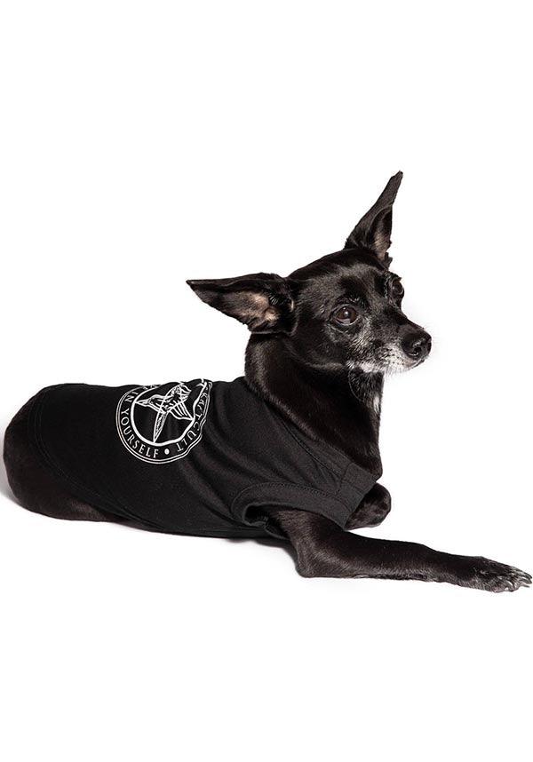 Believe In Yourself | PET TEE** - Beserk - all, all clothing, BCD378, black, blackcraft, boxingday22-20, clickfrenzy15-2023, clothing, discountapp, dog, dog vest, dogs, exclusive, finalsale, fur parents, goth, gothic, home, homeware, homewares, jun22, labelexclusive, mothersdaypet, mysterypack2023, pet, pet clothing, pets, r260622, sale