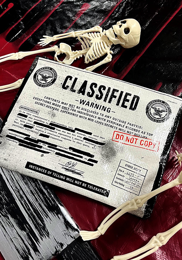 Classified | ZIPPER POUCH