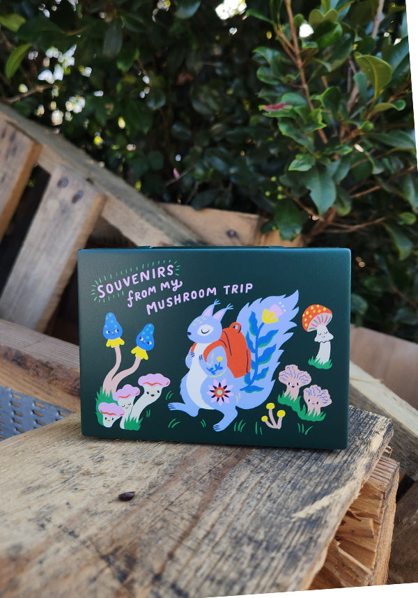 Souvenirs From My Mushroom Trip | POCKET BOX