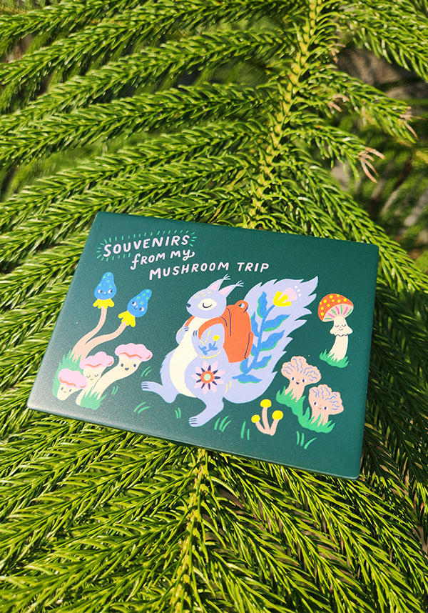 Souvenirs From My Mushroom Trip | POCKET BOX