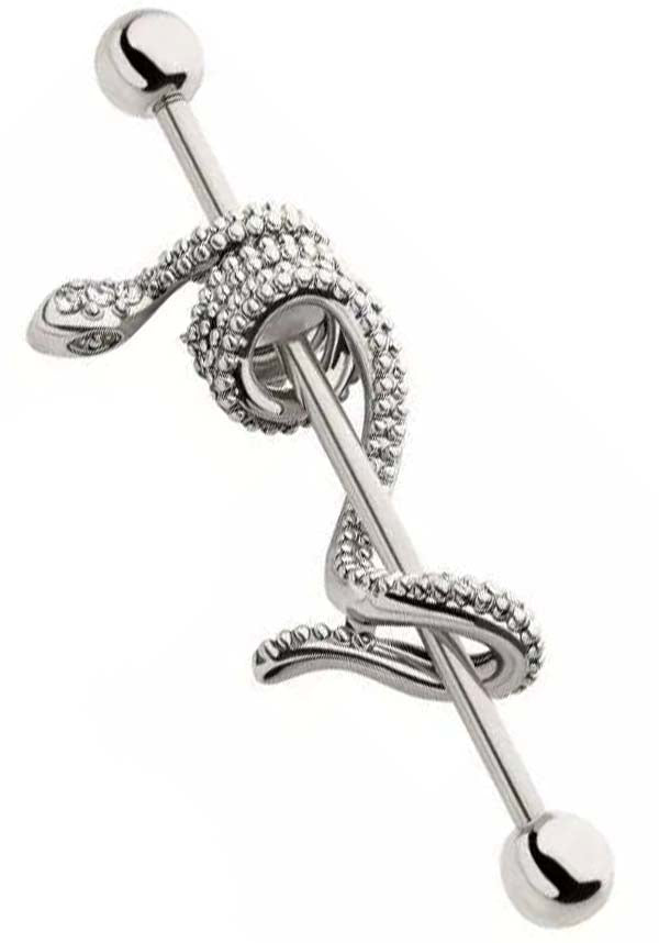 Serpentine | INDUSTRIAL BARBELL
