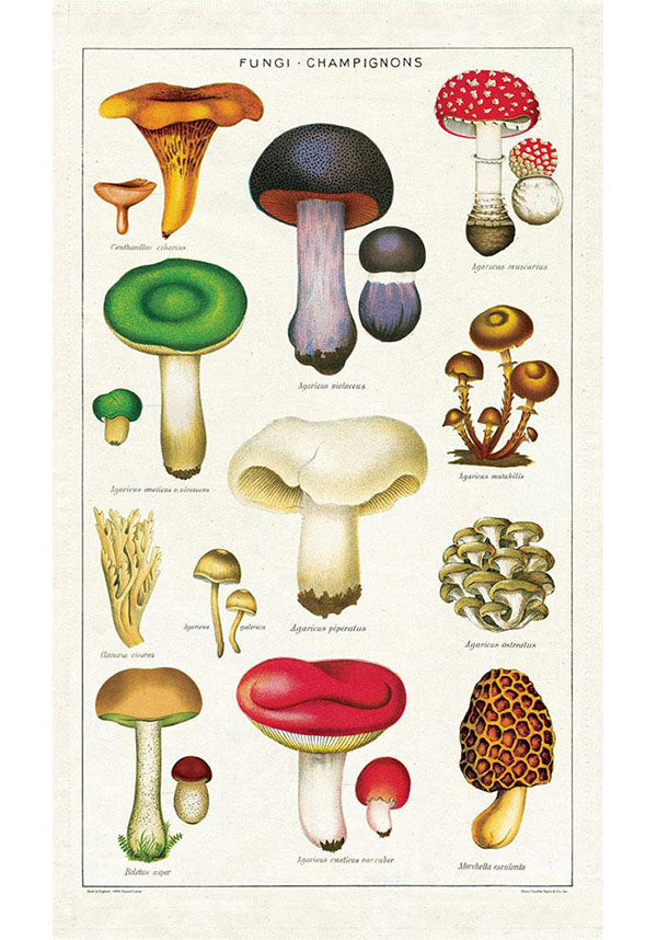 Mushrooms | TEA TOWEL