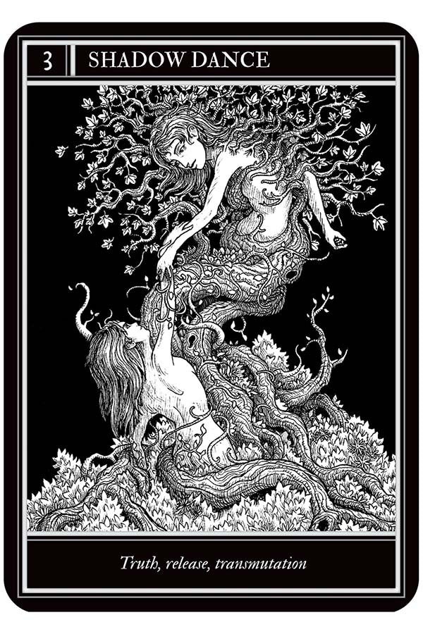 Coven | ORACLE CARDS