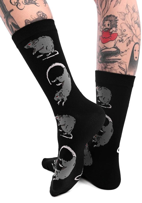 Rat | SOCKS