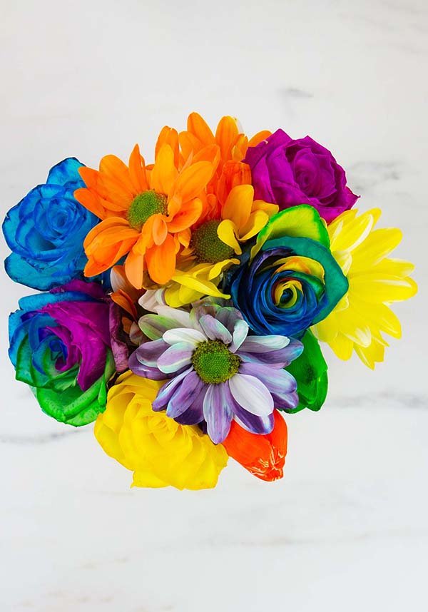 DIY Rainbow | FLOWER KIT