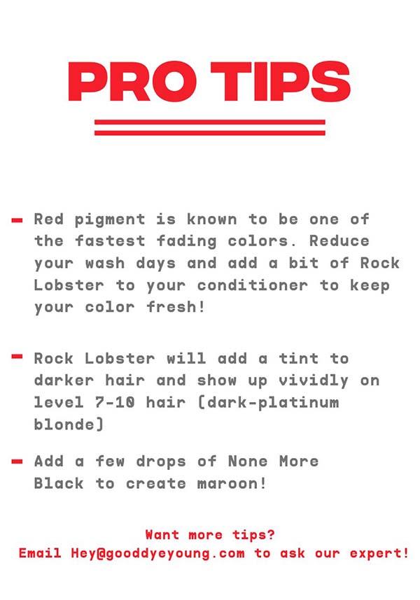 Rock Lobster | HAIR COLOUR - Beserk - all, bright red, clickfrenzy15-2023, colour:red, cosmetics, cpgstinc, discountapp, dye, dyes, fp, GD023801, GDY-GWP, good dye young, gooddyeyoung, hair, hair color, hair colour, hair colours, hair dye, hair dyes, hair products, hair red, labelvegan, R010921, red, sep21, vegan