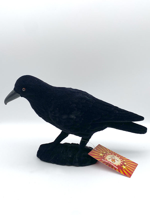 Bartram the Raven | DECORATION