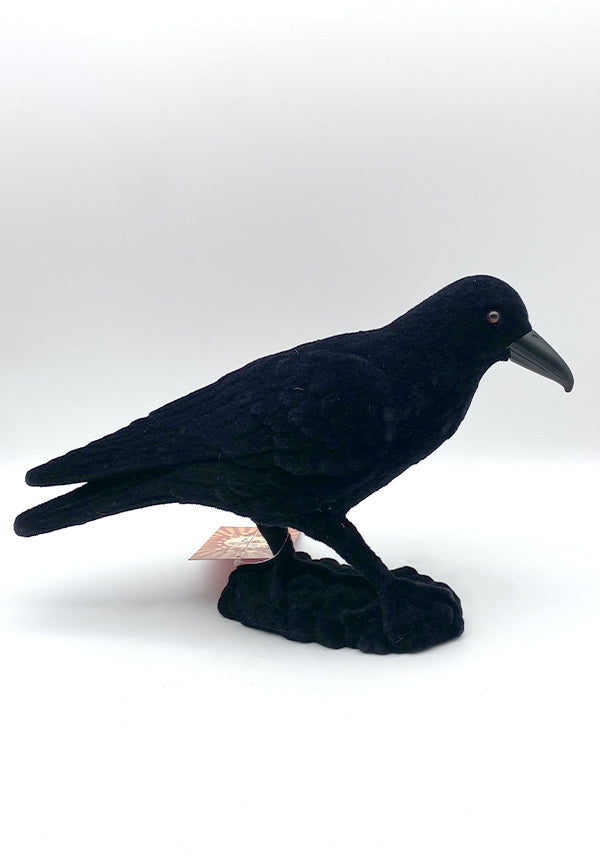 Bartram the Raven | DECORATION