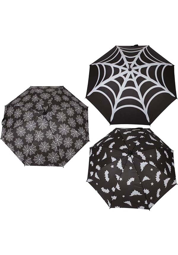 Bat and Spiderweb | UMBRELLA