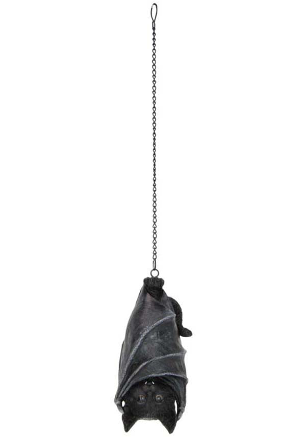 Felidavian | HANGER