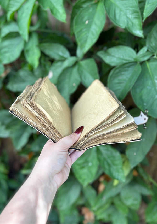 GOTHIC GIFTS Deer Heart | LEATHER JOURNAL - Detail 4