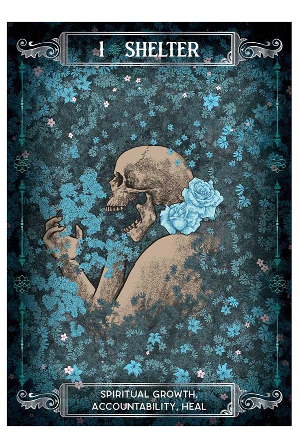 Earth and Bone Oracle | CARDS