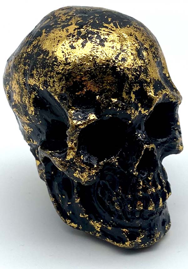 Fool's Gold  | SKULL