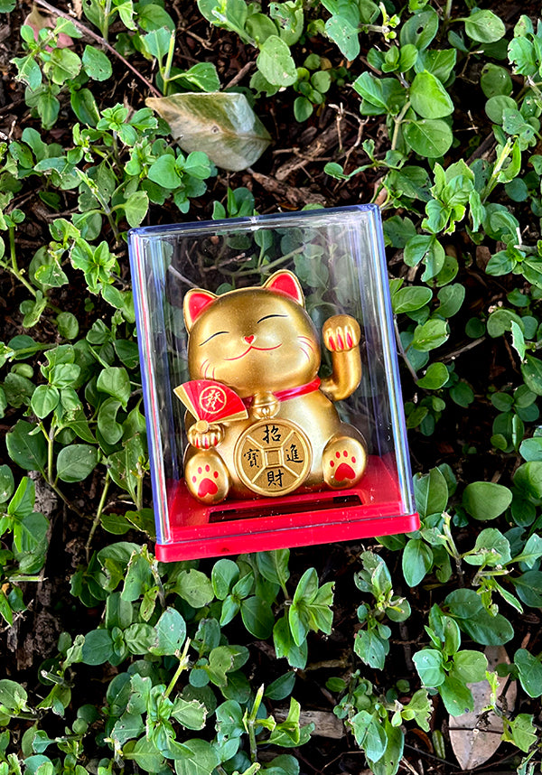 Grooving Lucky Cat | SOLAR DANCER