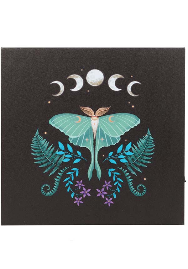Luna Moth Light Up | CANVAS PLAQUE
