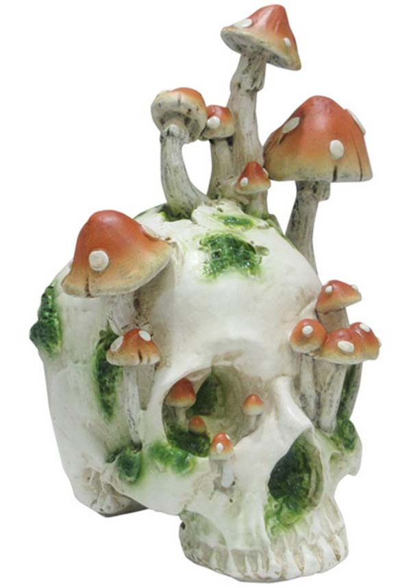 Magic Mushrooms [Orange] | SKULL