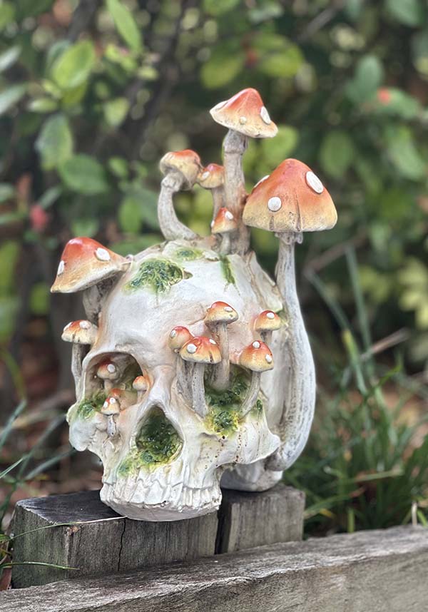 Magic Mushrooms [Orange] | SKULL