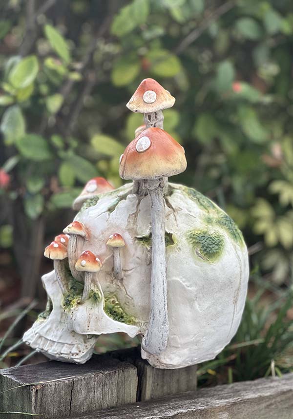 Magic Mushrooms [Orange] | SKULL