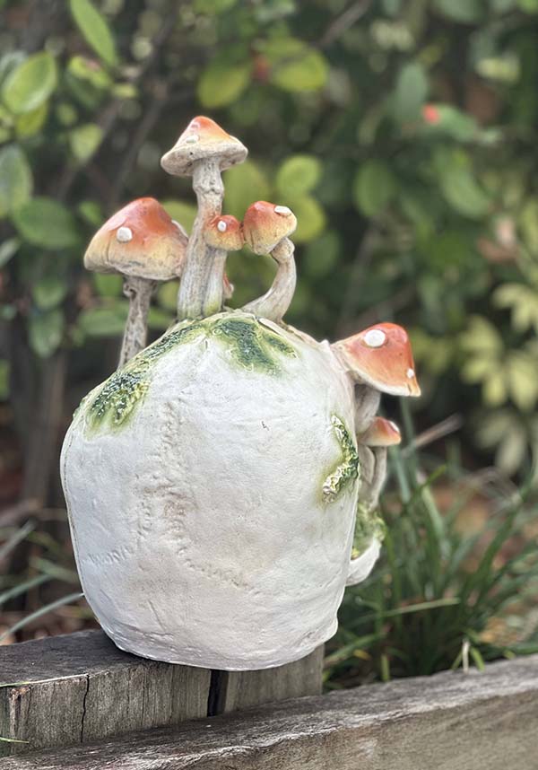 Magic Mushrooms [Orange] | SKULL