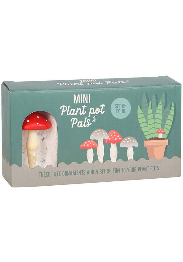 Mini Mushroom | PLANT POT PALS