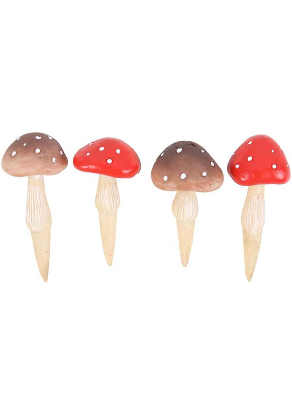 Mini Mushroom | PLANT POT PALS