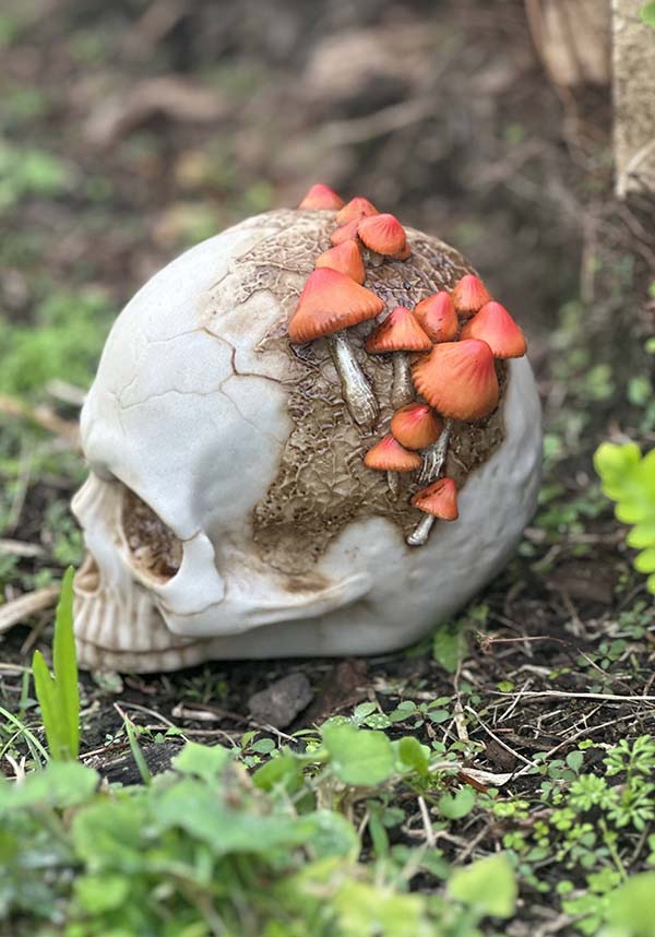 Mushroom Growth | SKULL