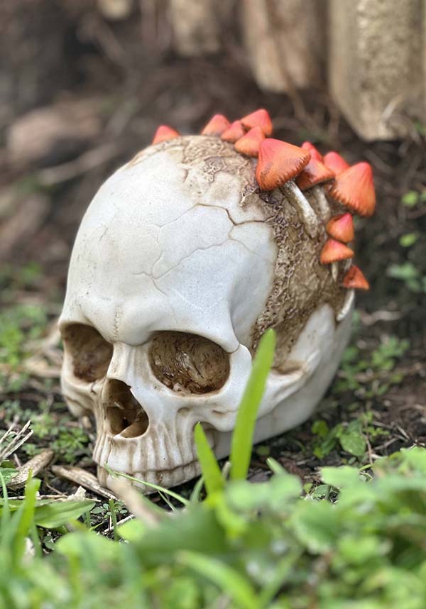 Mushroom Growth | SKULL