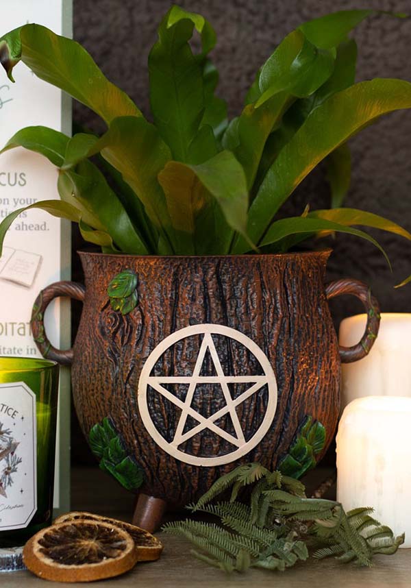 Pentagram Bark Effect Cauldron | PLANT POT