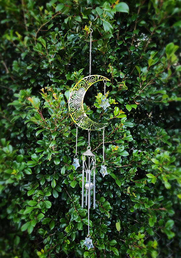 Wild Moon | WIND CHIME