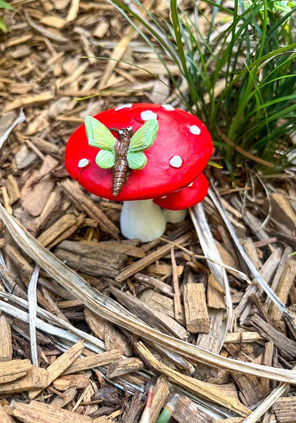 Dragonfly | RED MUSHROOM