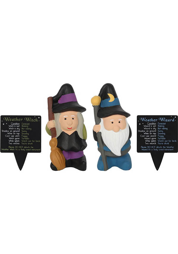 Weather Forecasting | WITCH / WIZARD GNOME
