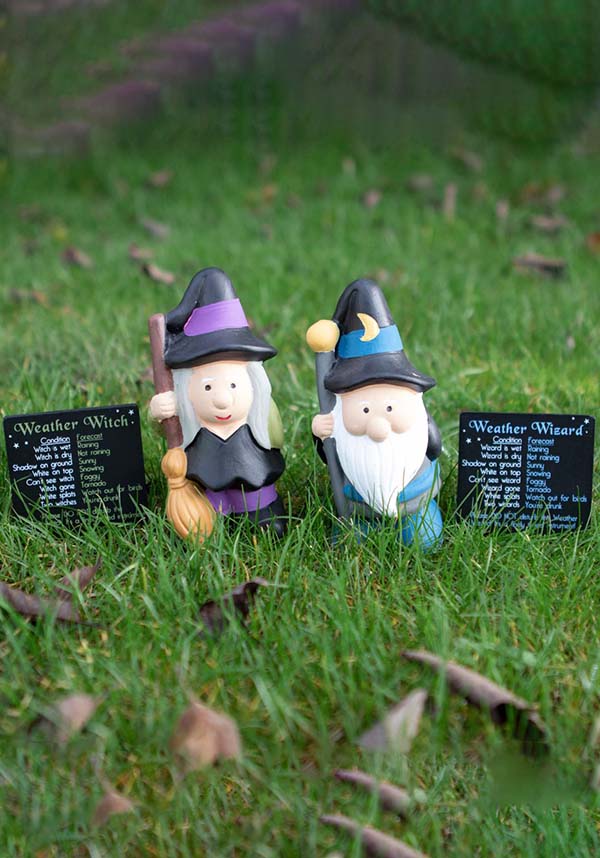 Weather Forecasting | WITCH / WIZARD GNOME
