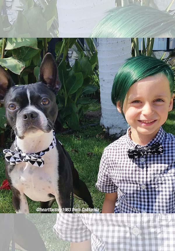 Green Envy | CLASSIC COLOUR - Beserk - 420sale, all, clickfrenzy15-2023, cosmetics, cpgstinc, discountapp, dye, ebaymp, fp, goth, green, hair, hair colour, hair dye, hair green, labelvegan, manic panic, manic panic hair, vegan