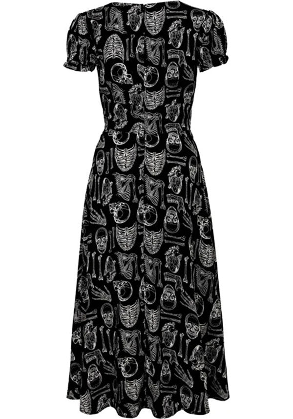 Anatomy | DRESS