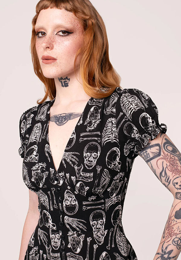 Anatomy | DRESS