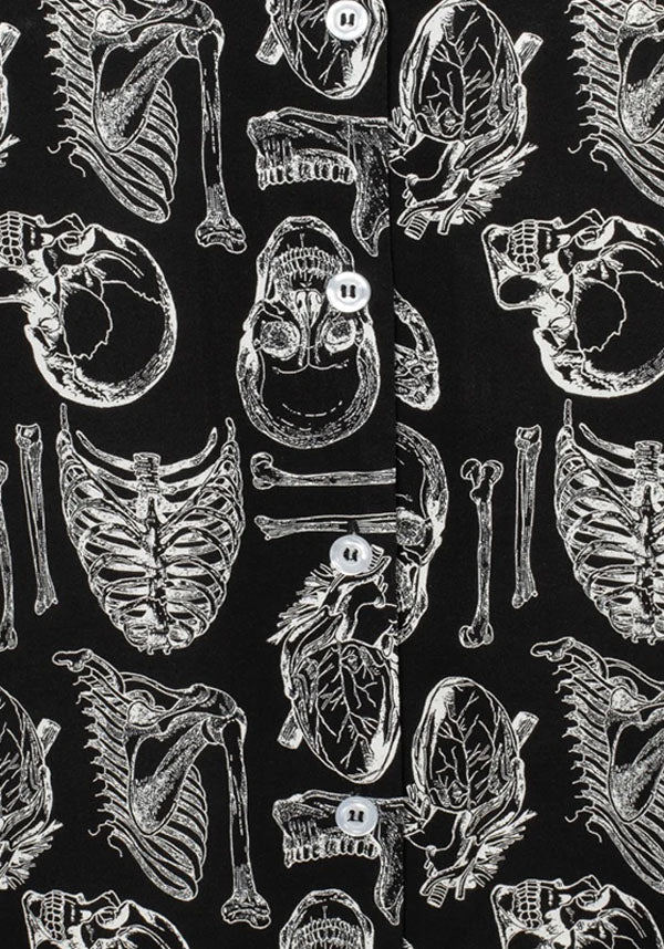 Anatomy | SHIRT