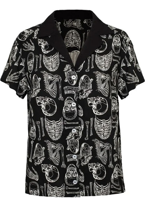 Anatomy | SHIRT