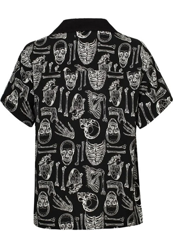Anatomy | SHIRT