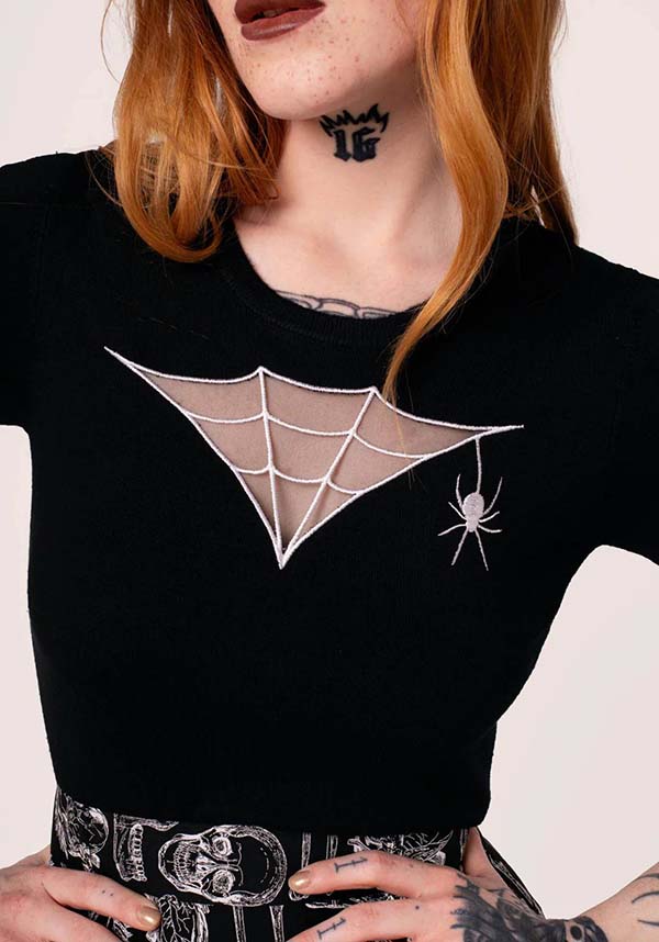 Cobweb | TOP