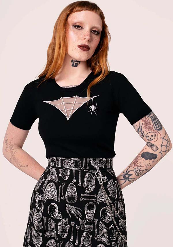 Cobweb | TOP