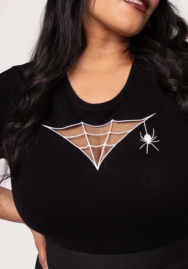 Cobweb | TOP