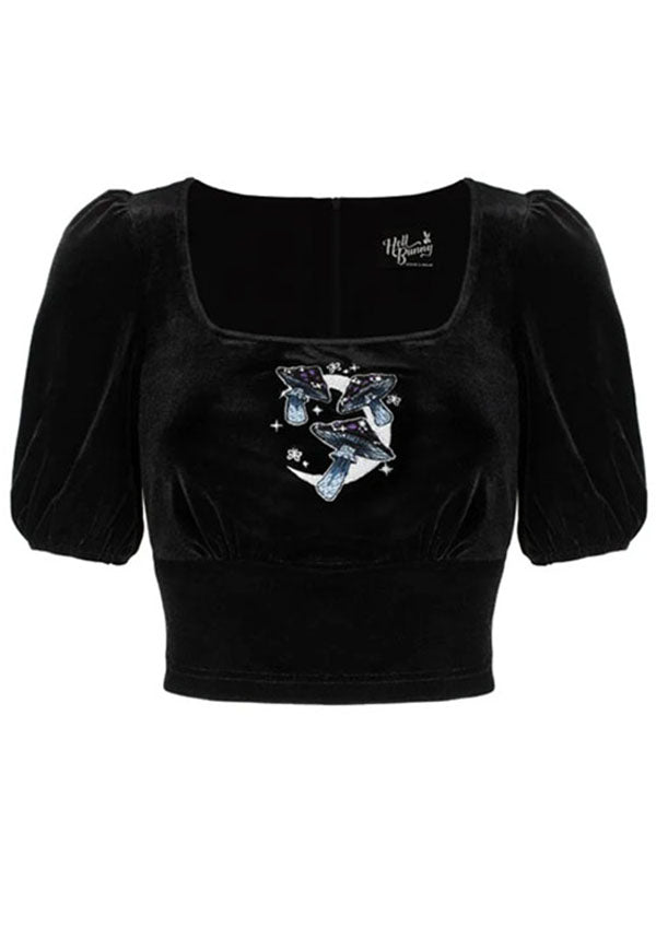 Moonlit | TOP