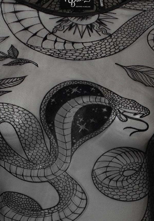 Snake Charmer | TOP