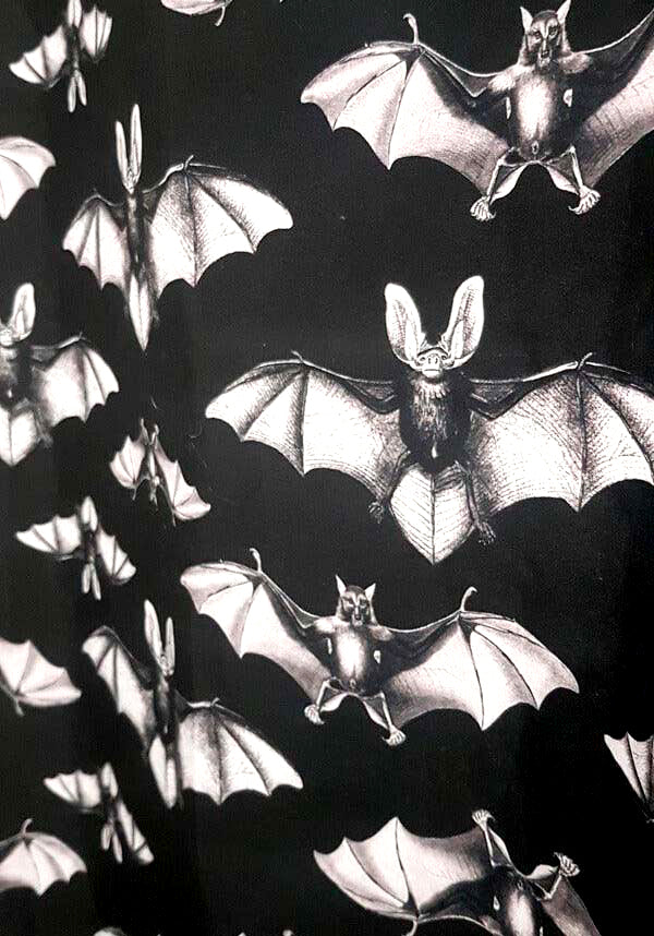 Midnight Flight [Rod Pocket] | BLACKOUT CURTAIN
