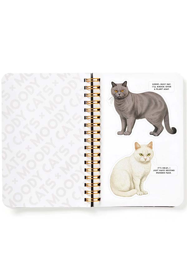 Moody Cats | STICKER BOOK