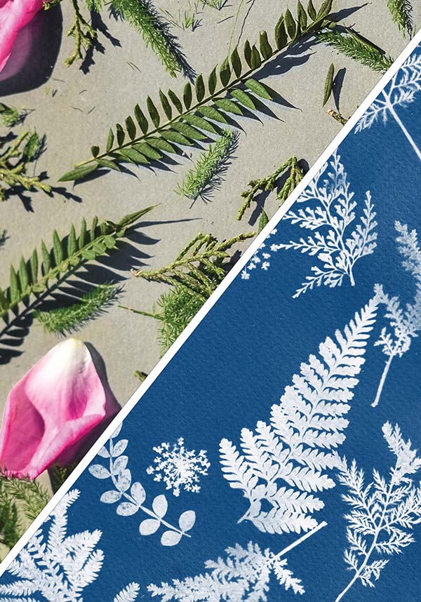 Cyanotype Sun | PHOTOGRAPHY