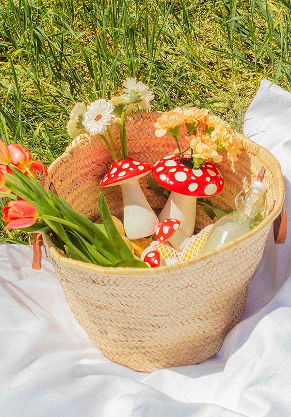 Amanita [Small] | VASE*