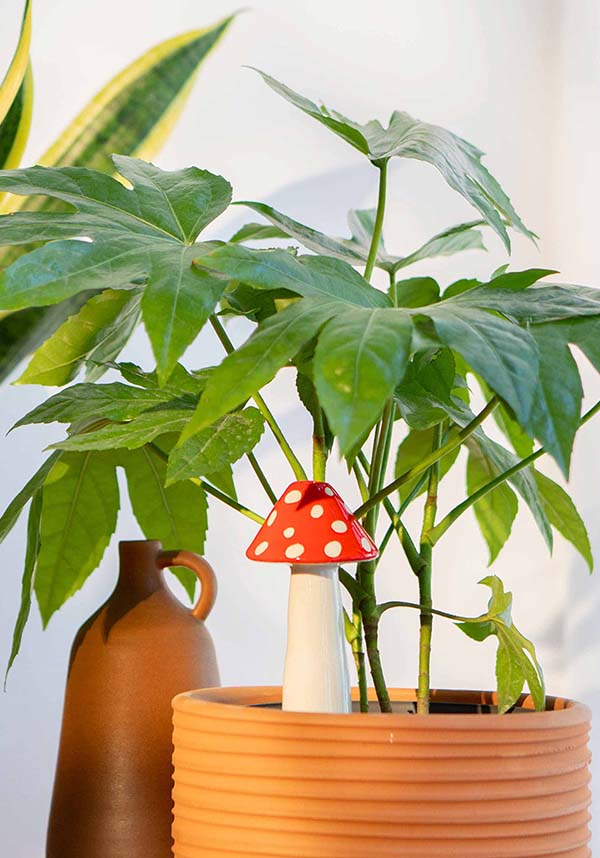 Amanita | WATERING SYSTEM